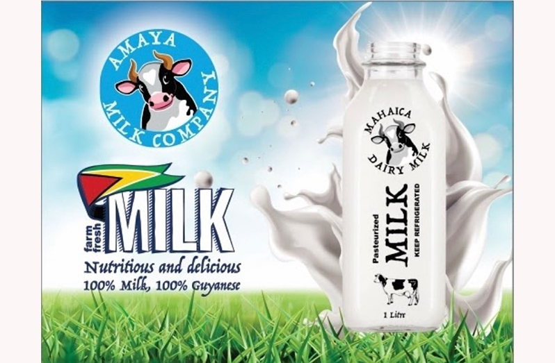 Amaya Milk Company’s Mahaica Dairy Milk will soon hit the local market