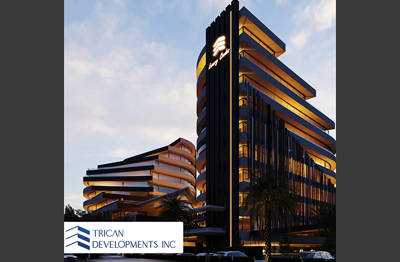 One of the renders for the US$20M condominium and office complex