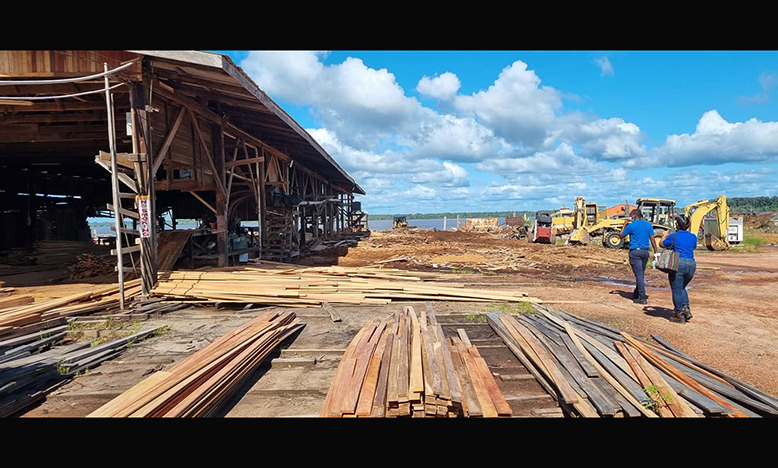 FORESTRY GUIDELINES - Guyana Chronicle