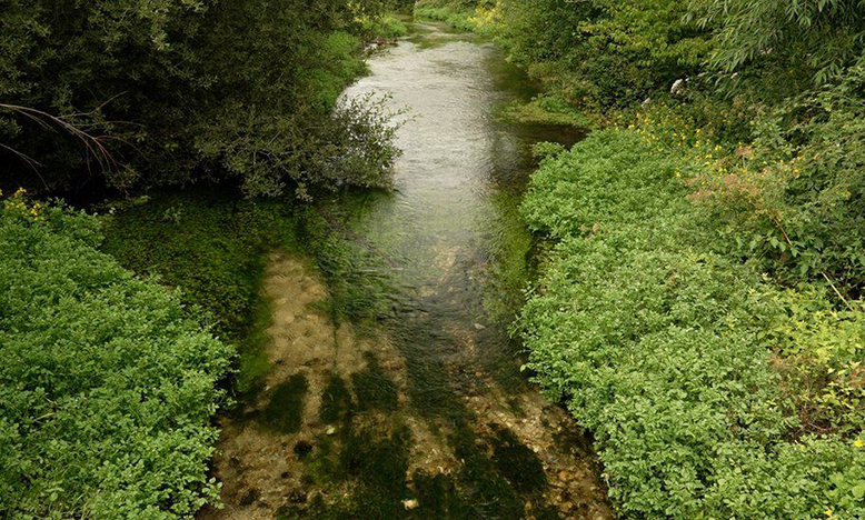 The River Anton in Hampshire is much lower than usual (BBC photo)