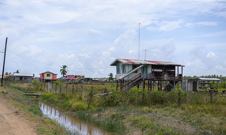 Tempie Village - Guyana Chronicle