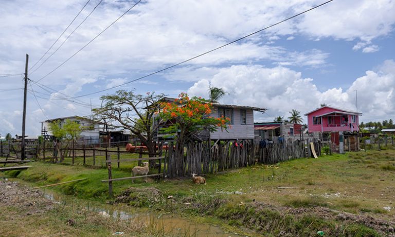 Tempie Village - Guyana Chronicle