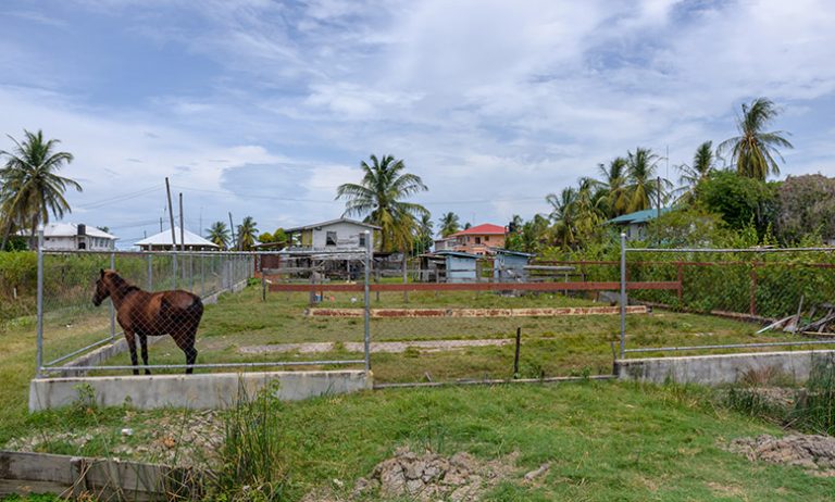 Tempie Village - Guyana Chronicle