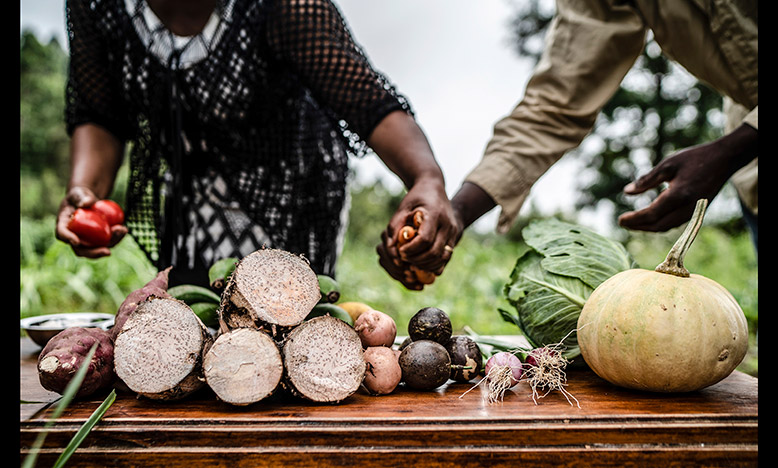 World Food Day commemorates the founding in 1945 of the Food and Agriculture Organisation of the United Nations