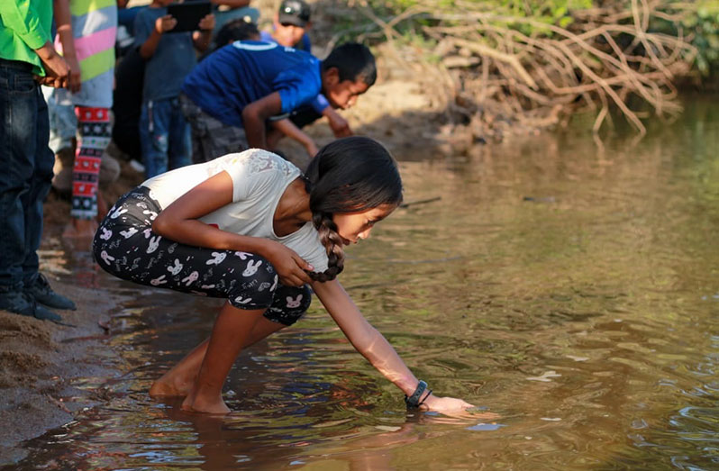 Releasing the rescued turtles along the Rupununi River