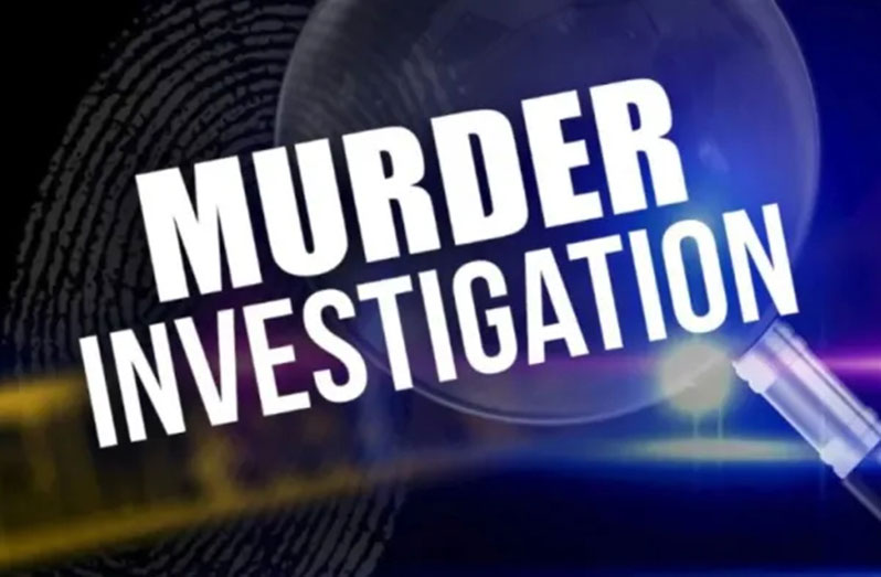 Man fatally stabbed during argument over ‘bush weed’ - Guyana Chronicle