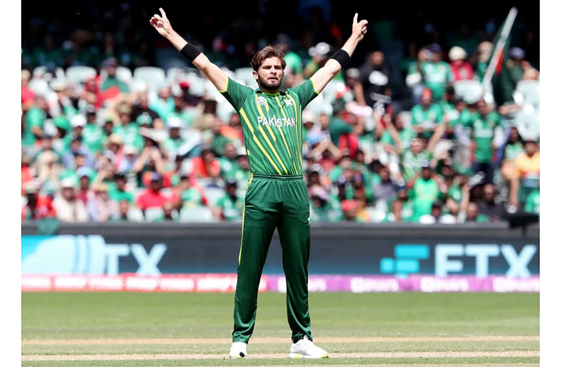 Shaheen Shah Afridi celebrates after dismissing Litton Das (Nov 05, 2022•ICC via Getty Images)