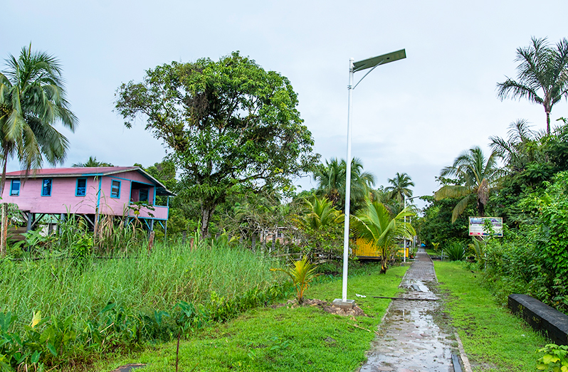 One of the 40 solar street lights installed on Fort Island, Essequibo River (Delano Williams photos)