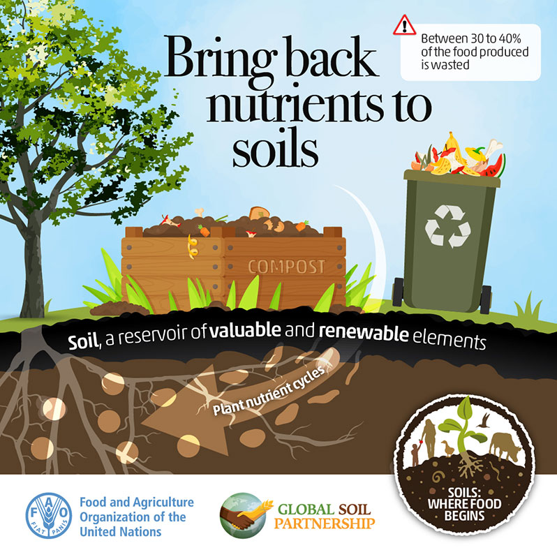 WORLD SOIL DAY 2022 - Guyana Chronicle