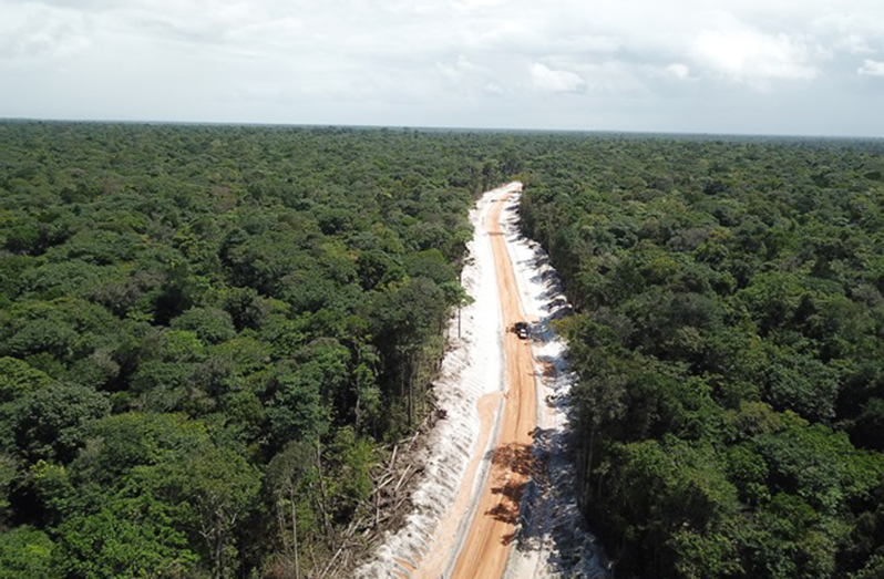 Carbon credits provide financial incentives to preserve forests and biodiversity