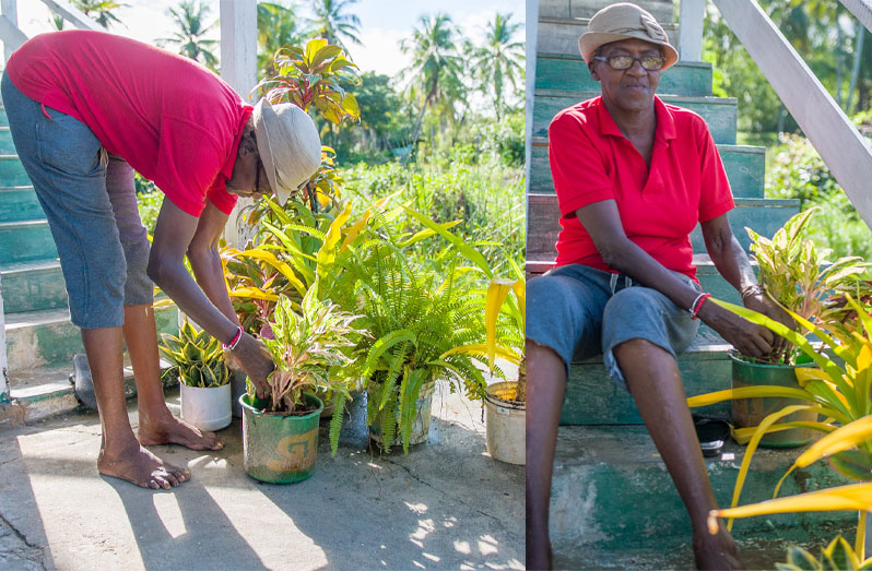 The able-bodied Megan Drayton fixing her plants (Delano Williams photos)