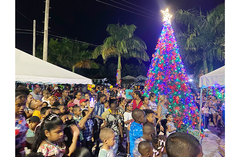 The Christmas tree light-up at Anna Regina