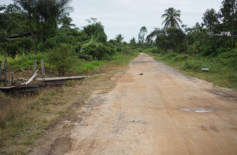 The new road passing through the village replacing a mud dam