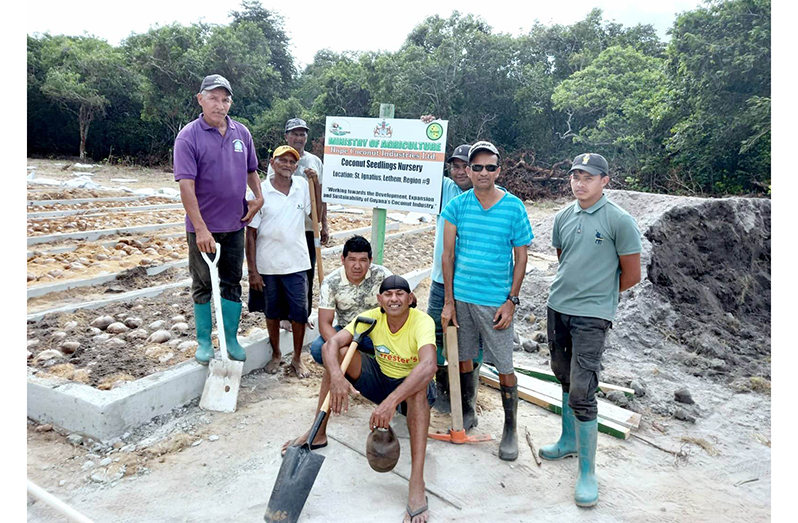 Hope Estate General Manager Ricky Roopchand (second left) and employees of the Region Nine Coconut Seedlings Nursery