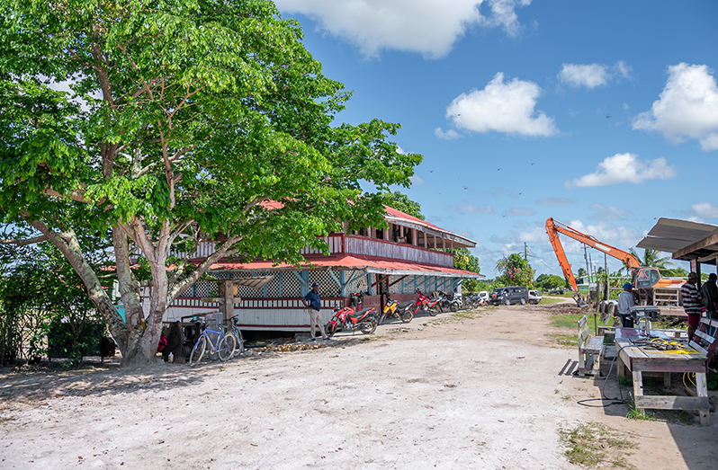 Cane Grove Village: A food-secure community - Guyana Chronicle