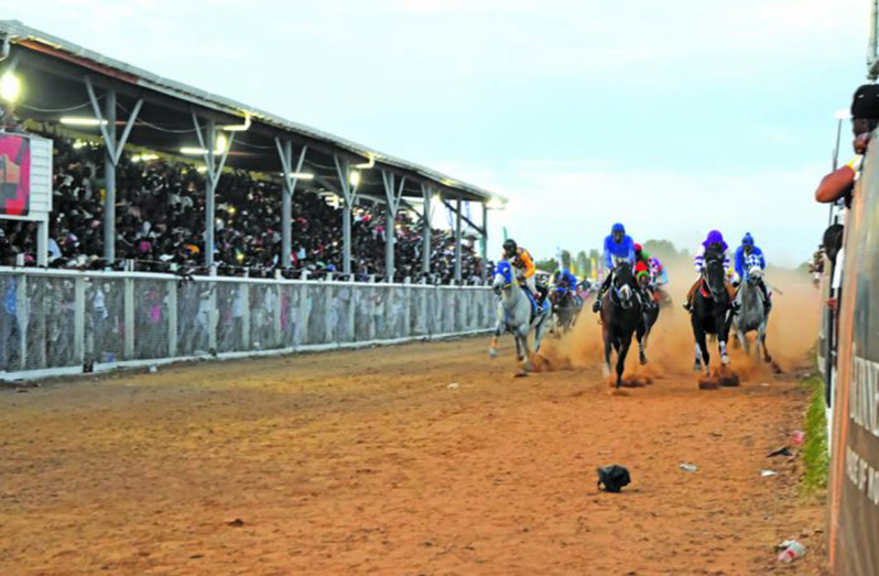 The Rising Sun Turf club will play host to Opening Day stakes.