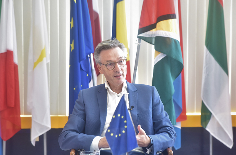 EU Ambassador to Guyana, Rene van Nes