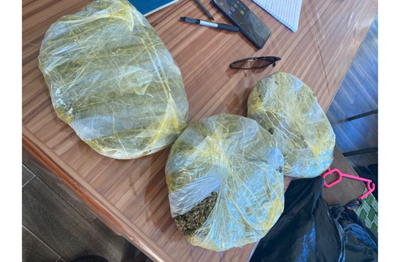 The cannabis that was seized by the police (Guyana Police Force photo)
