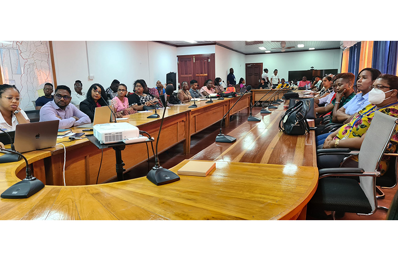 A section of the gathering for the consultation held at the RDC Reg. 6 Boardroom.