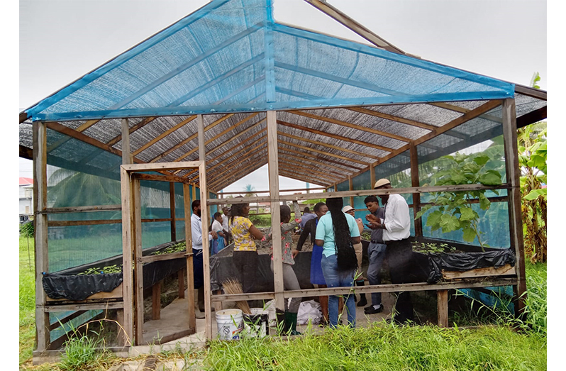 Students and technical officers from NAREI in one of the shade houses that was constructed