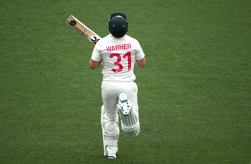 Opener David  Warner confirms his wish to have Baggy Green swansong during next home summer's New Year's Test against Pakistan.