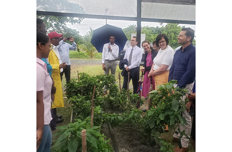 A visiting New Zealand and Caribbean Community (CARICOM) delegation on Thursday toured NAREI’s Shade House Project at Mon Repos (NAREI photos)