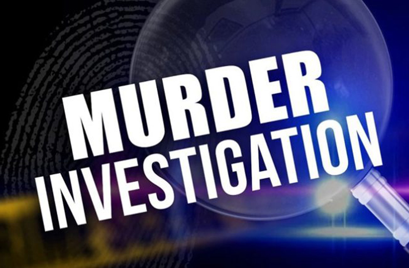 Teenager reportedly murders brother in Mon Repos - Guyana Chronicle