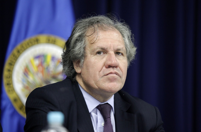 OAS Secretary-General Luis Almagro