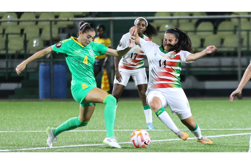 Guyana and Suriname in action.