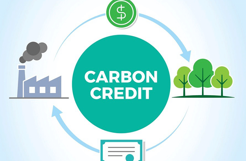 Carbon-Credit