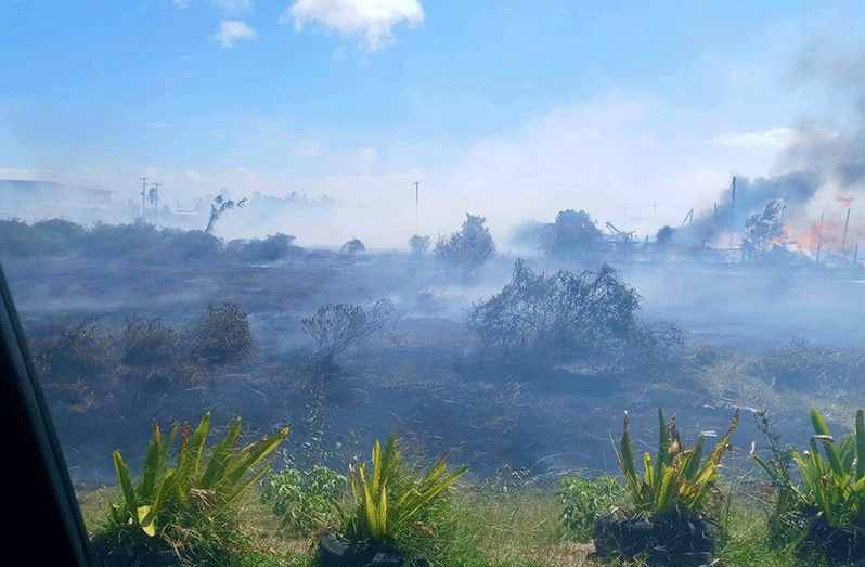 The aftermath of the brush fire, which resulted in the destruction of a lumber yard and field in Enmore, East Coast Demerara