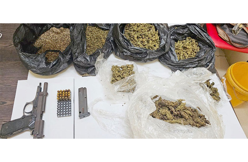 The firearm, ammunition and cannabis found by ranks in Berbice