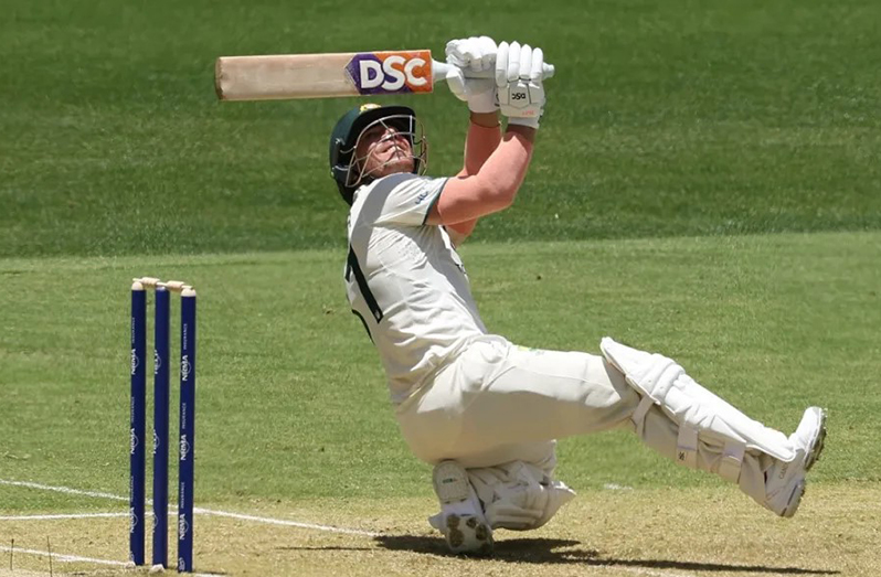 David Warner: attack dog extraordinaire  •  Getty Images