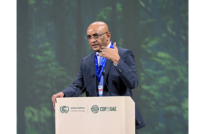 Vice-President, Dr. Bharrat Jagdeo during a presentation at the recently concluded COP28 event, which was held in Dubai (COP28 photo)