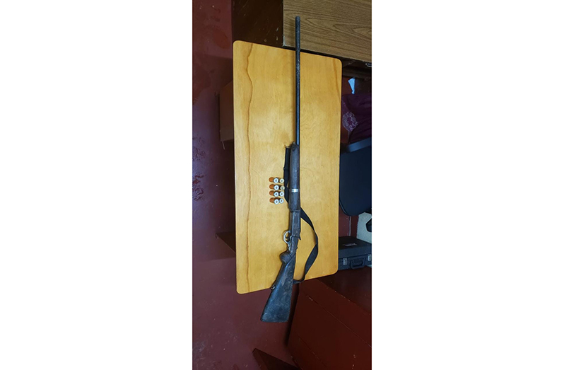 gun
