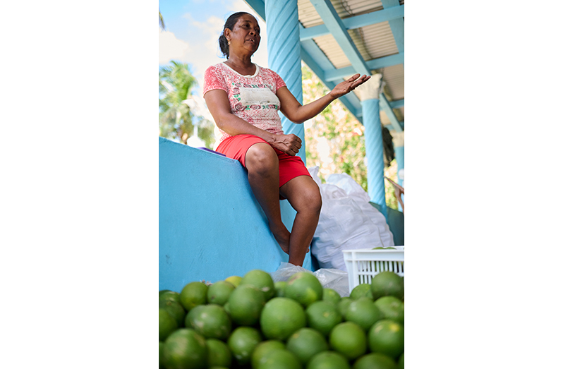 Radha Persaud with some of the oranges she farms in Laluni (Samuel Maughn photos)