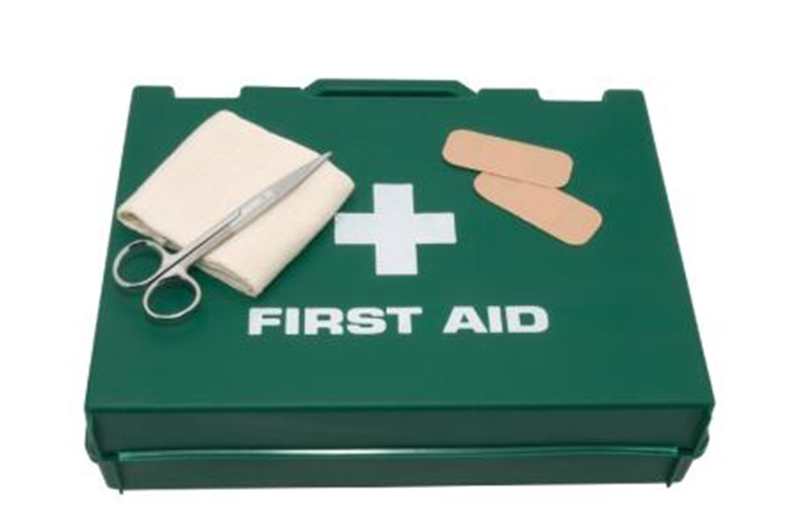 Mining and forestry areas: First-aid training crucial for promoting ...