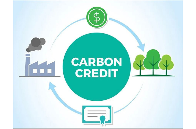 Carbon-Credit