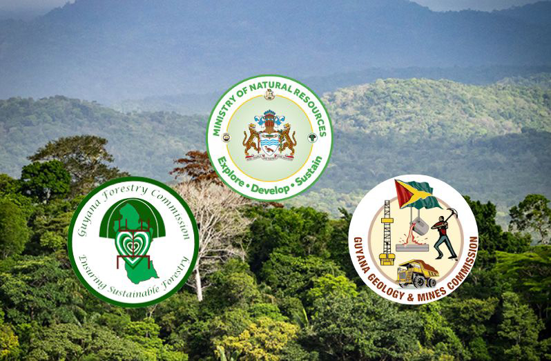 Guyana Launches Forest Restoration Initiative Under LCDS 2030 Framework ...