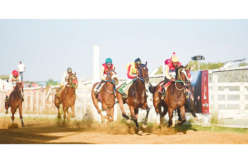 Eight races are on the cards for Rising Sun today