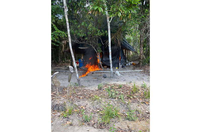 Police on Tuesday conducted an “eradication exercise” at Ebini Backdam, Berbice River, during which two cannabis farms were found and destroyed