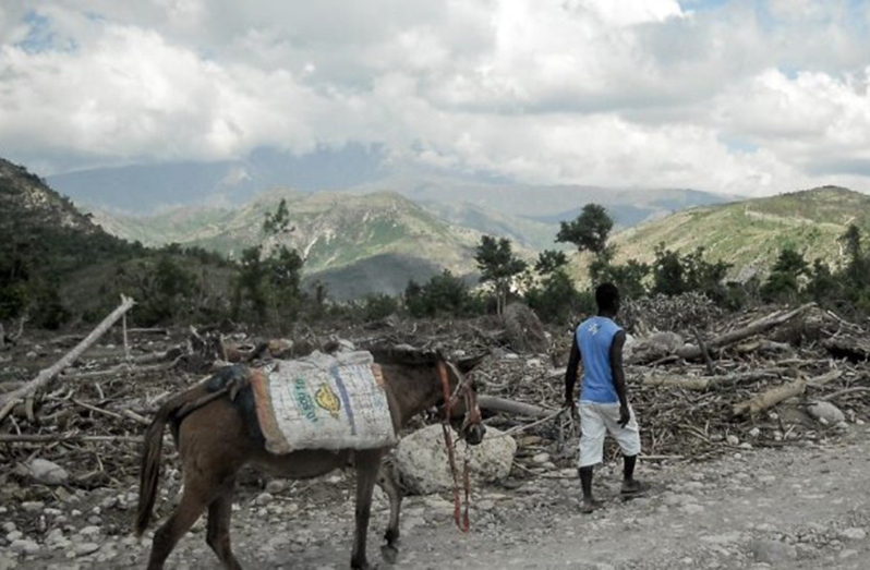Nearly half of Haiti’s population is facing acute food insecurity
