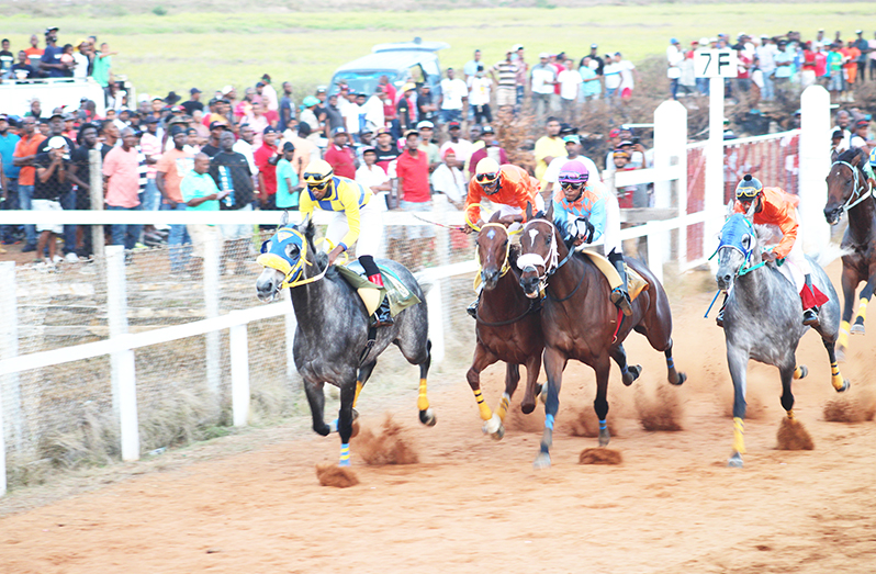 Stolen Money (left) dominated the feature event at Kennard’s Memorial Turf Club