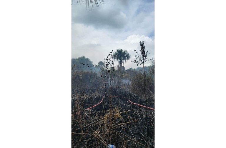 Firefighters continue to battle wildfires in Santa Mission - Guyana ...