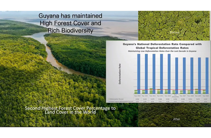Since 2007, Guyana has been lobbying for a structured carbon market-based mechanism to simultaneously preserve its forests and pursue development. The country boasts forest coverage of 85 per cent that traps 19.5 gigatons of carbon.