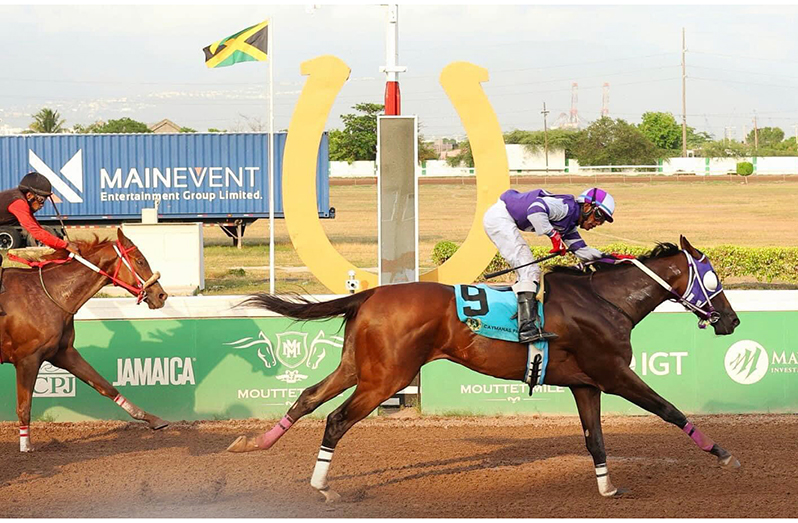 The connections of Easy as ABC after winning in Jamaica at the weekend (Photos: Caymanas Racing)