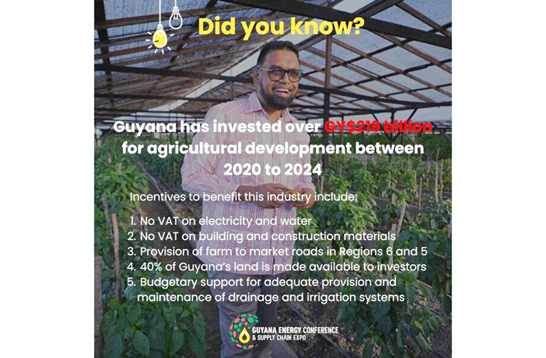 Guyana is an investor’s paradise for agriculture, forestry, other ...