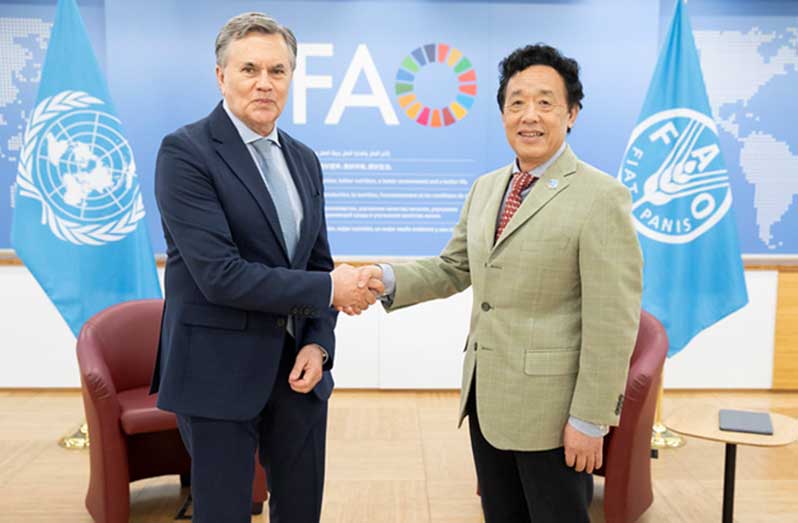 The Director General of IICA, Manuel Otero, and FAO counterpart, Qu Dongyu, decided to step up actions to strengthen family farming and food security in both the Caribbean and the Central American Dry Corridor