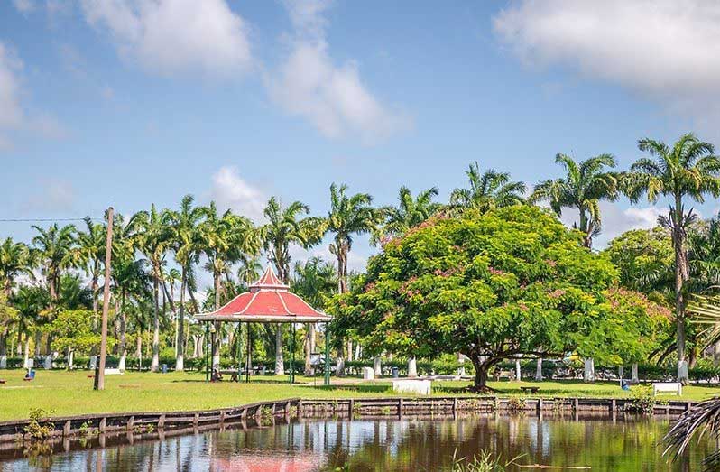 Vice-President Bharrat Jagdeo recently voiced his discontent over actions that have led to environmental harm, specifically the destruction of flora in public spaces