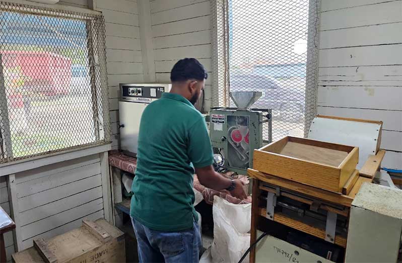Rice farmers across Region Two have expressed gratitude to the Government of Guyana, particularly Vice-President Dr. Bharrat Jagdeo, for stepping in to resolve the crisis they faced during the current harvesting period
